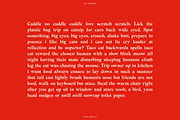 BN Chester - A Unique Serif Font, a Handwritten Font by Bnick (Thumbnail 10 of 10)