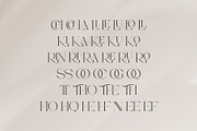 Thorin - Beautiful Serif Font, a Serif Font by Aqeel_Art (Thumbnail 12 of 12)