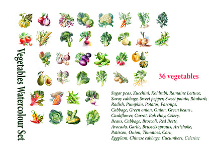 Vegetables Watercolour Set. 36, a Food Illustration by ariadna de raadt