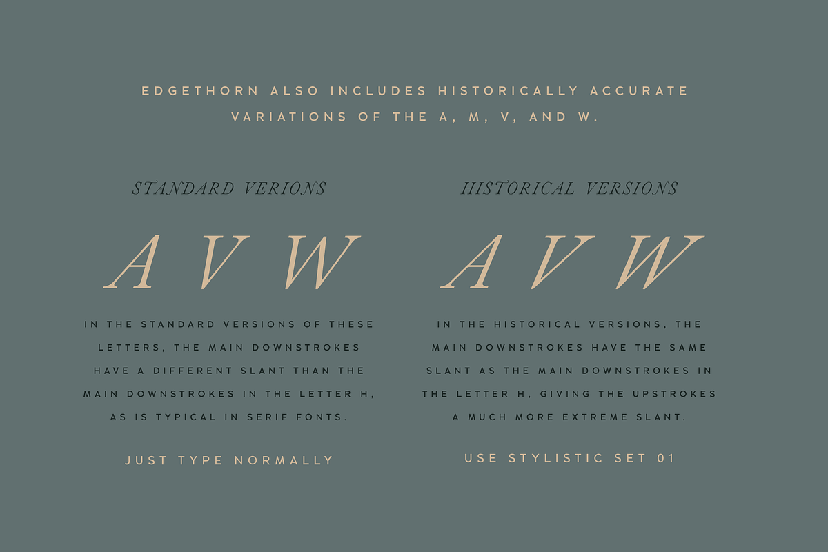 Edgethorn Italic Serif Font, a Serif Font by Up Up Creative (Photo 16 of 17)