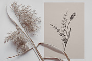 Procreate Floral Doodle Stamps Brush, a Brush Add-On by Dervik Art Store (Thumbnail 6 of 6)