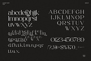 Jesslyn - Stylish Serif Font, a Serif Font by Aqeel_Art (Thumbnail 10 of 10)