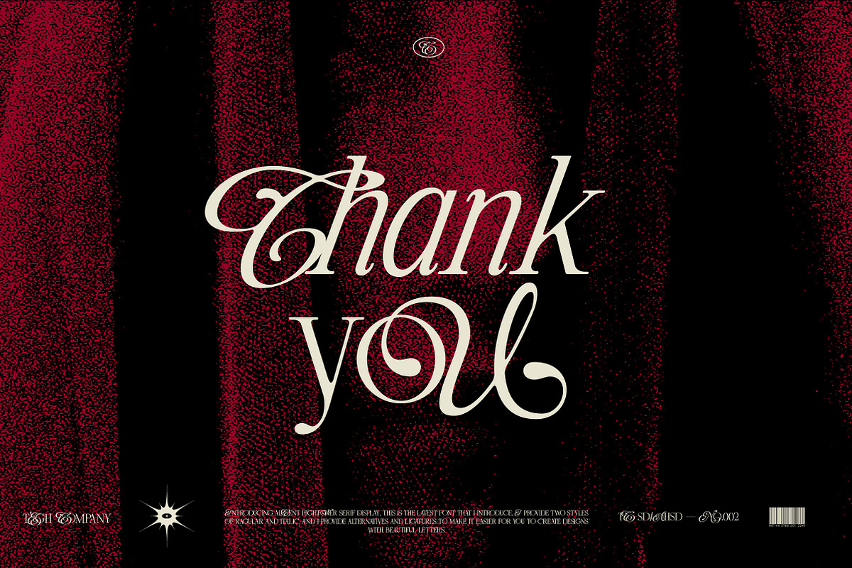 ALICENT HIGHTOWER SERIF DISPLAY, a Serif Font by Tegh co. (Photo 16 of 16)