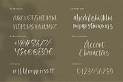Bohemis Handwritten Font, a Script Font by Letteralle Studios (Thumbnail 9 of 10)