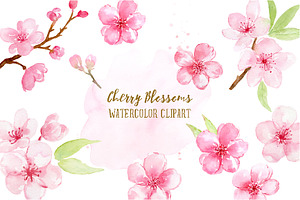 Watercolor Cherry Blossoms