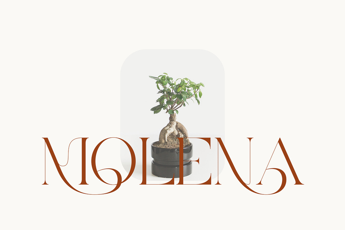 Mayor - Stylish Serif Font, a Serif Font by Aqeel_Art (Photo 2 of 12)