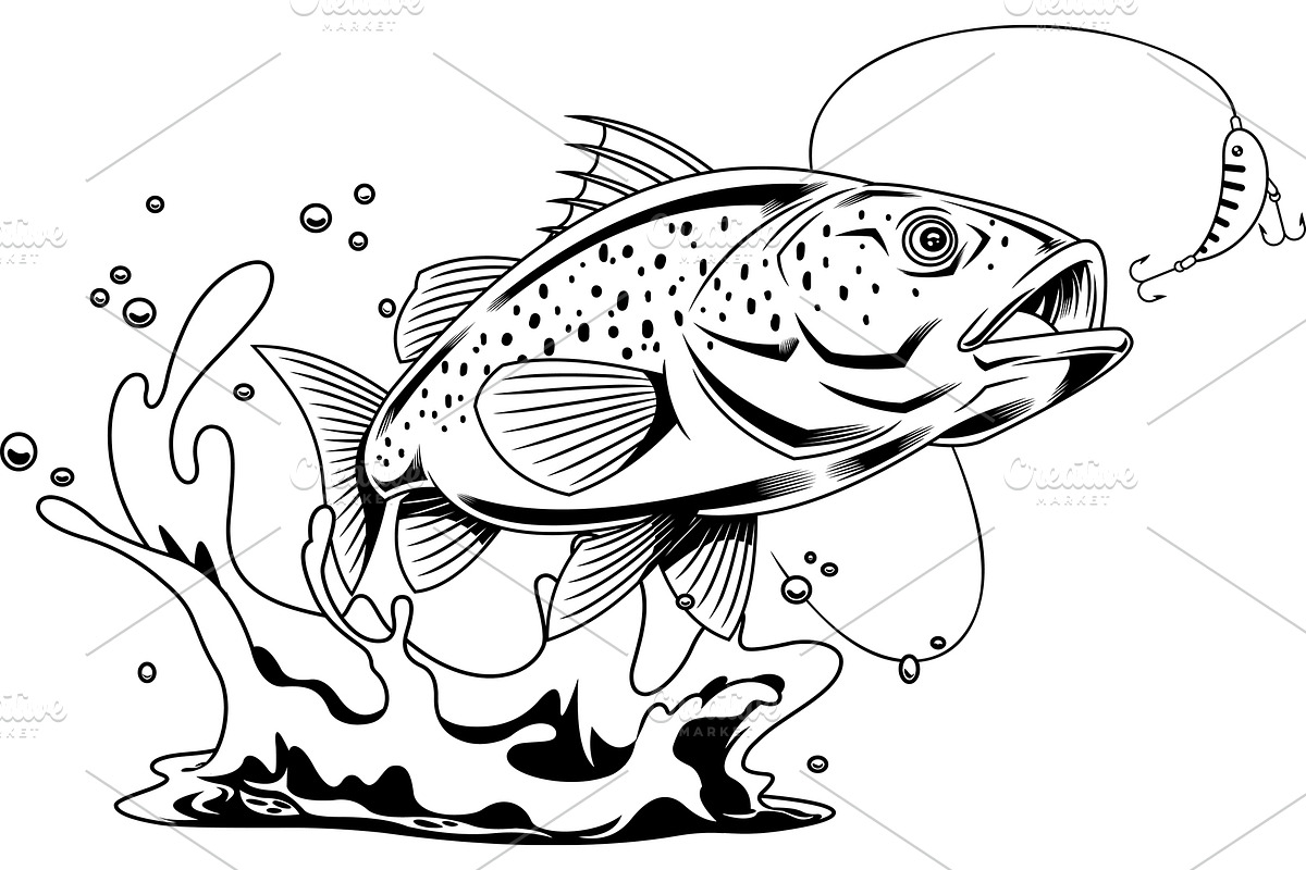 Spotted Bass Fish Cartoon Character, an Illustration by HitToon