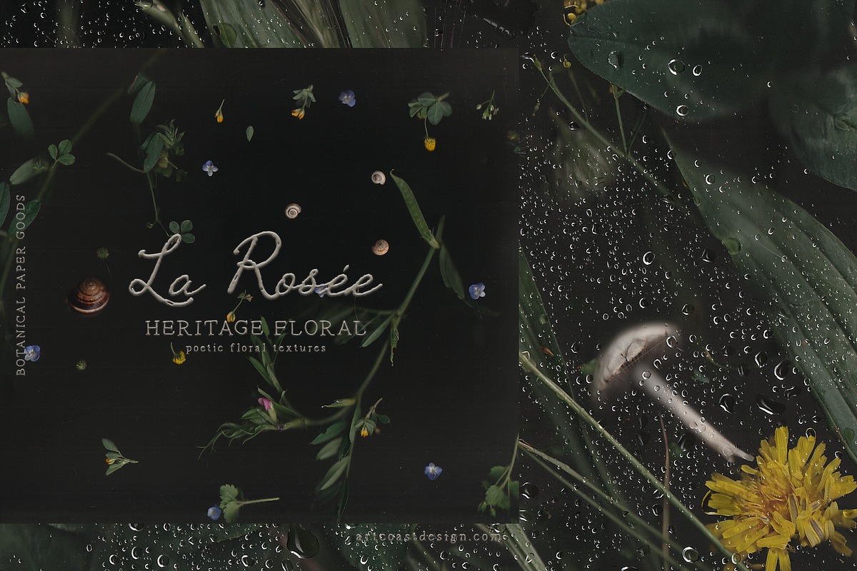 La Rosee Botanical Backgrounds, a Wallpaper Graphic by nadispasibenko (Photo 3 of 9)