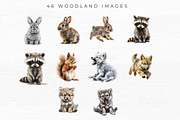 Woodland Animal Clipart, an Animal Illustration by EllyandLima (Thumbnail 5 of 7)