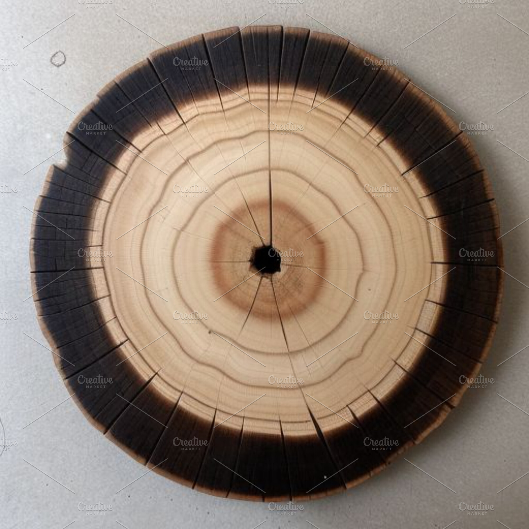 Tree rings photograph, a Nature Photo by ComfortQ