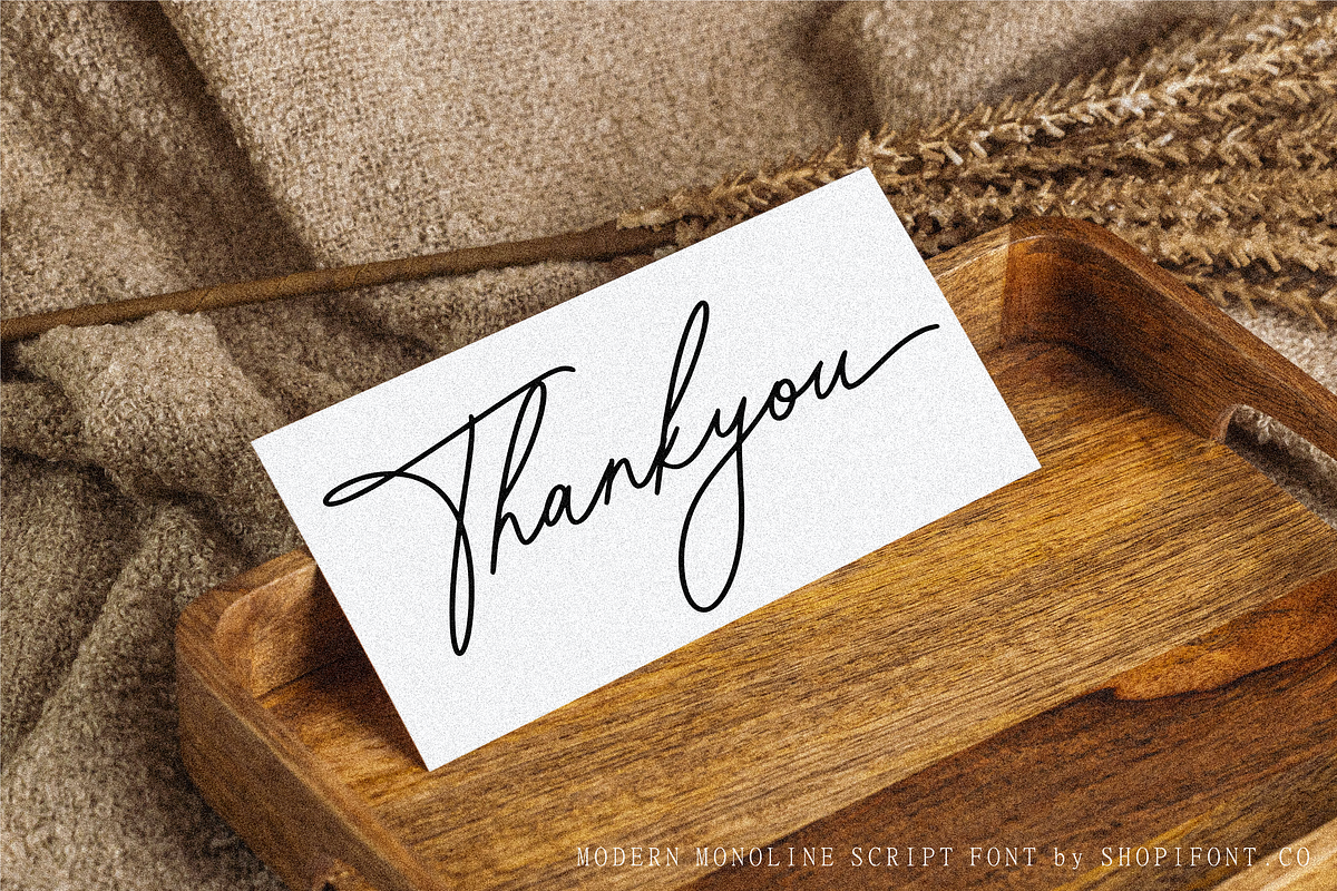 Blaisflur Radiante, a Script Font by Shopifont.co (Photo 13 of 13)