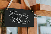 Benthany Amourty Modern Calligraphy, a Script Font by Letterena Studios Script (Thumbnail 6 of 15)