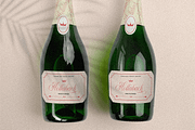 Vangelina – Modern Cursive Script, a Script Font by Pixesia Studio (Thumbnail 10 of 15)