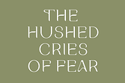 Parish. Stylish serif font, a Serif Font by LostandFoundry (Thumbnail 4 of 8)