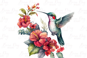 Fairy Hummingbird Floral Clipart