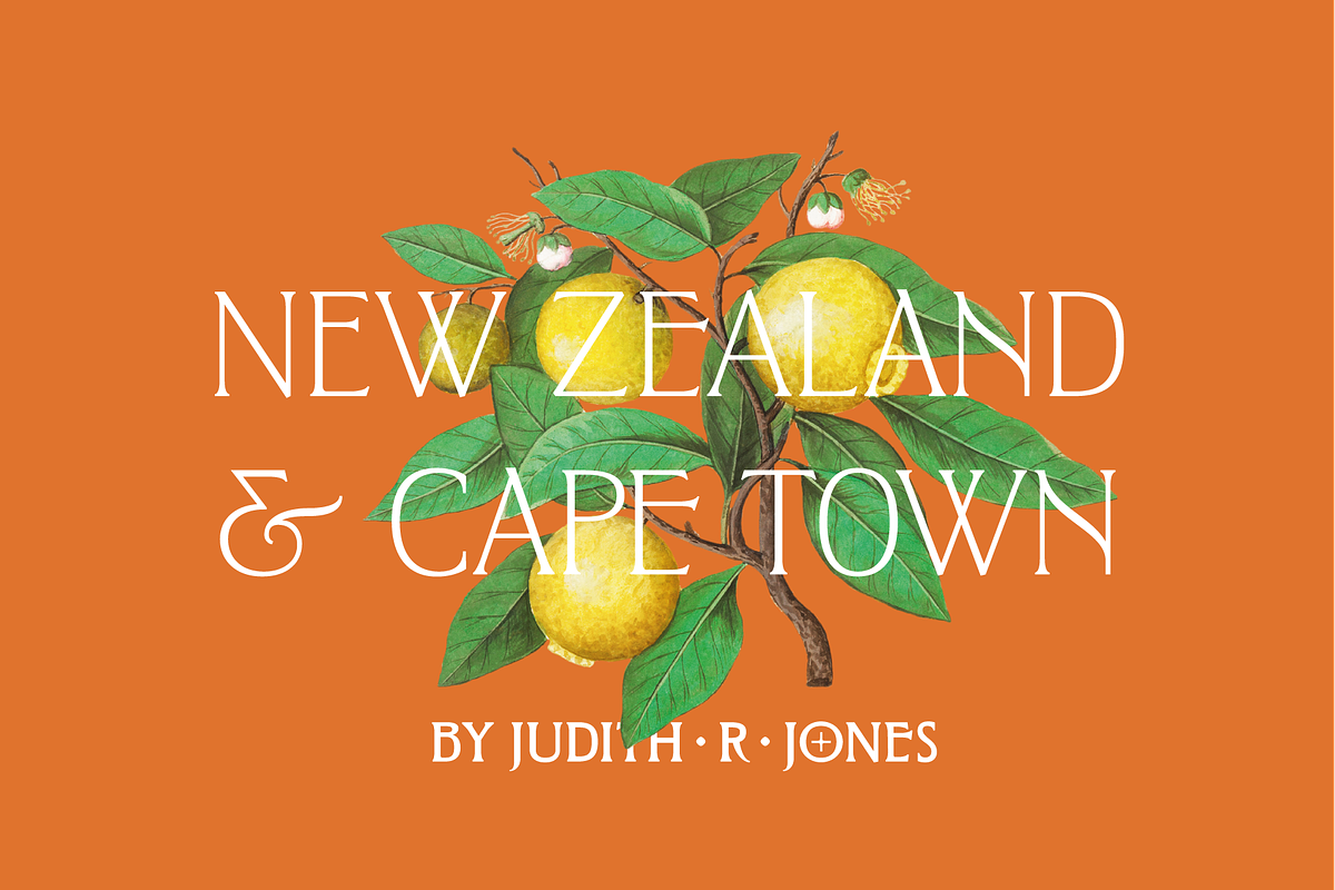 West and Olives (6 fonts + variable), a Font by The Old Type Foundry (Photo 2 of 12)