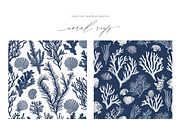 New! Summer + Fall Edition Bundle, a Seasonal Illustration by Isabelle Salem (Thumbnail 203 of 272)
