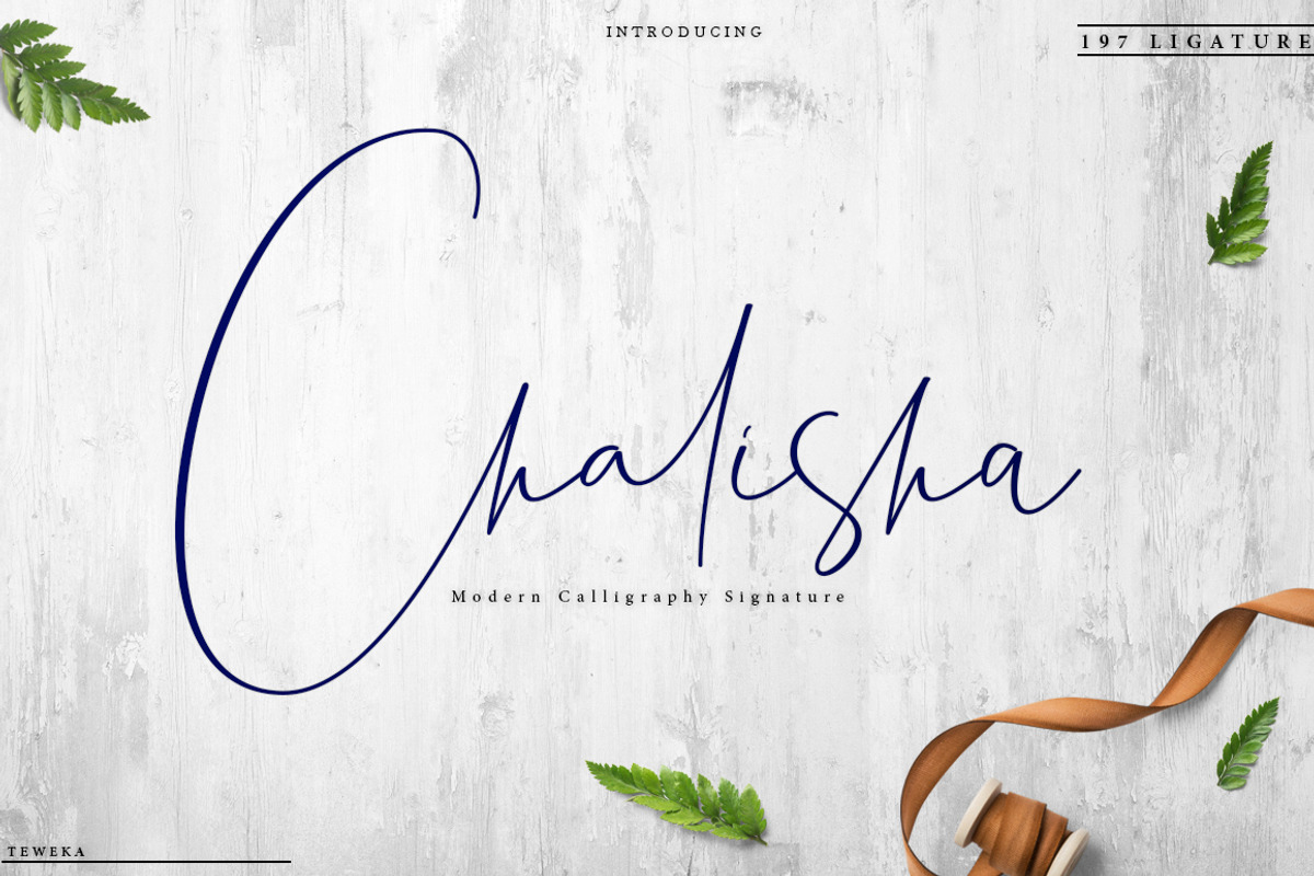 Chalisha Modern Calligraphy