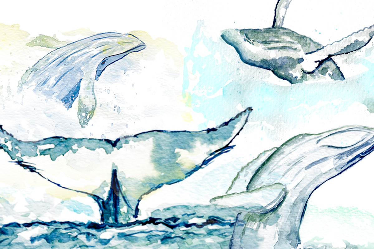 Hand-drawn watercolor whale bundle, an Object Graphic by Natsuhisui (Photo 5 of 9)