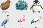 Cute Birds Clipart, an Illustration by Black Bird Studio (Thumbnail 3 of 6)