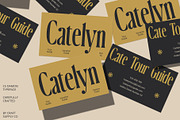 CS Damon – Condensed Font, a Serif Font by Craft Supply Co. (Thumbnail 2 of 8)