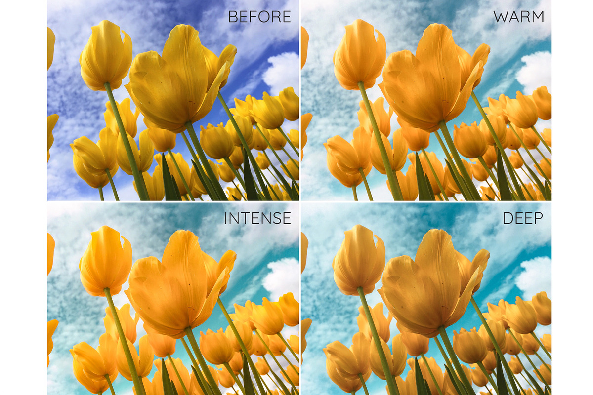 Orange Teal Lightroom presets, an Action Add-On by GDR Design (Photo 7 of 8)