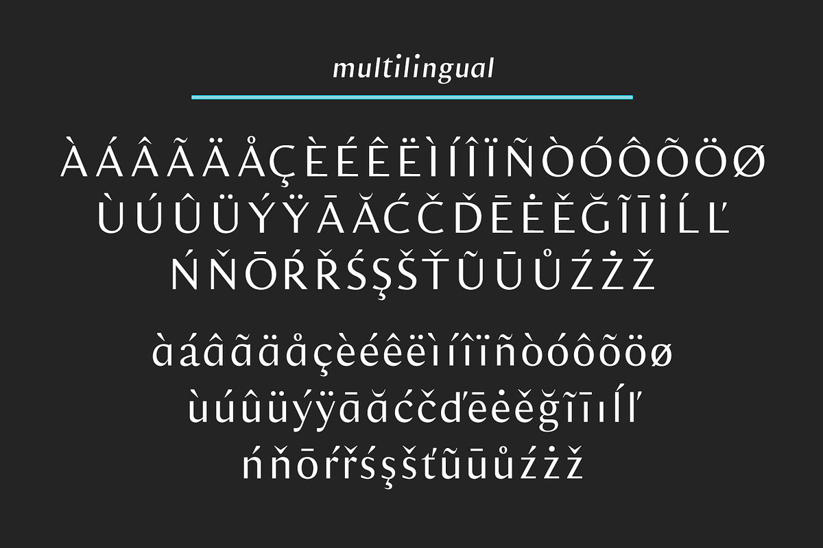 Veitari Typeface preview 7