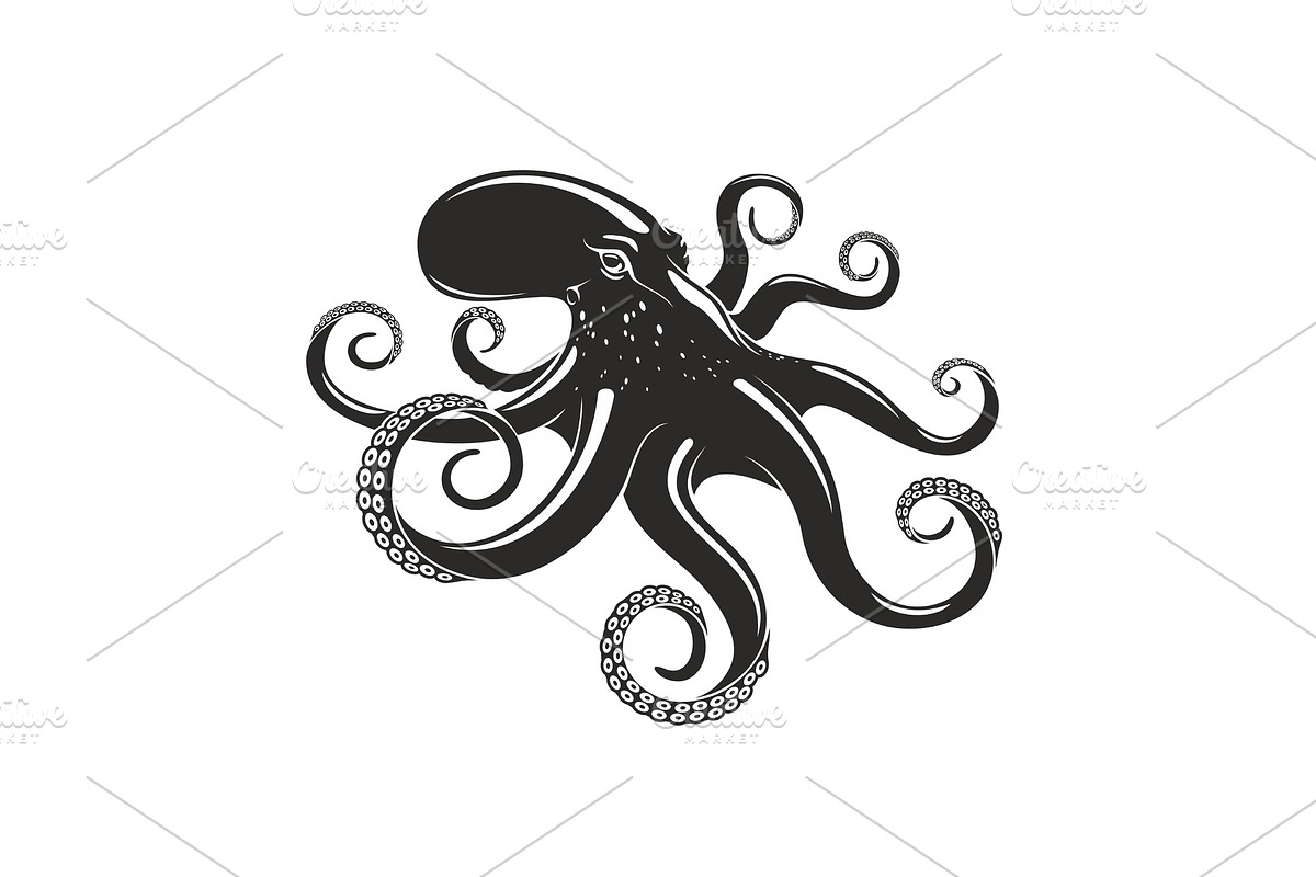 Octopus vector ocean seafood mollusc icon, an Animal Illustration by ...
