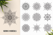 530 Vector Mandala Ornaments, an Animal Illustration by pixaroma (Thumbnail 18 of 55)