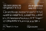 Emitron Elegant Serif Font, a Serif Font by Perfectype (Thumbnail 8 of 8)