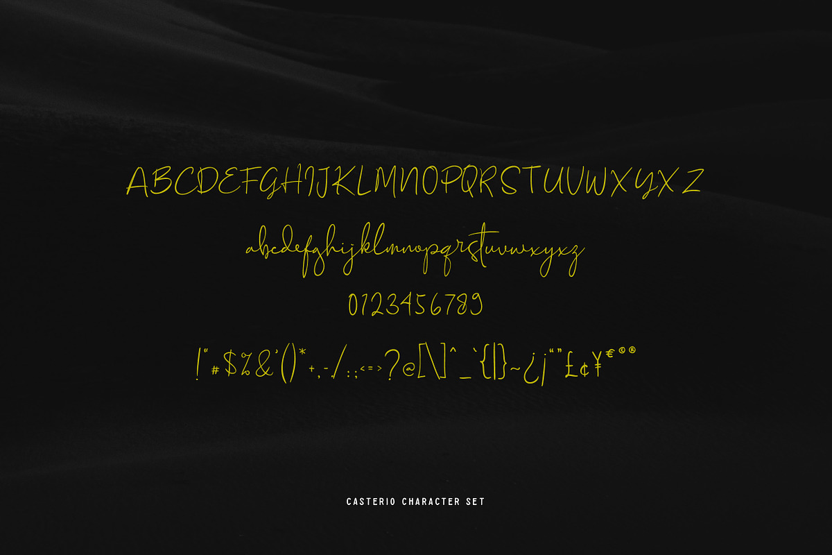 Casterio-Signature font, a Script Font by Panatype™ Studio (Photo 4 of 9)