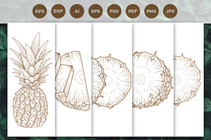 Pineapple engraving style hand drawn