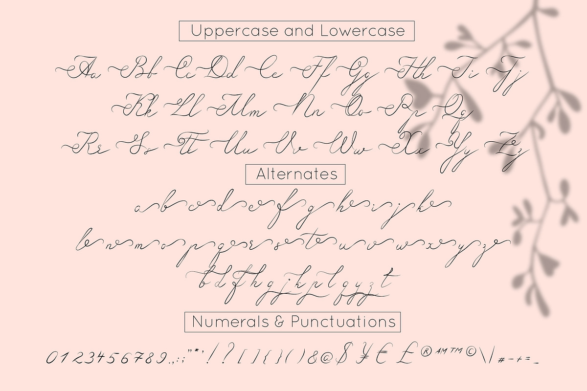 Rio Love | Signature Script Font, a Script Font by Anna Zakharchenko (Photo 10 of 11)