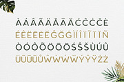 Roundor Font Family - Sans Serif, a Sans Serif Font by RC graphics (Thumbnail 4 of 9)