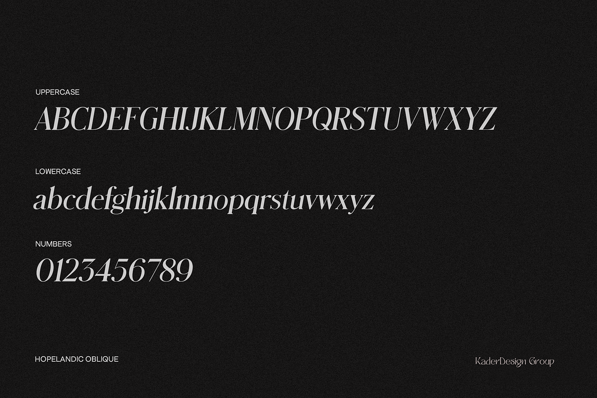 HOPELANDIC Modern Serif, a Serif Font by ALunadoki Design (Photo 8 of 8)