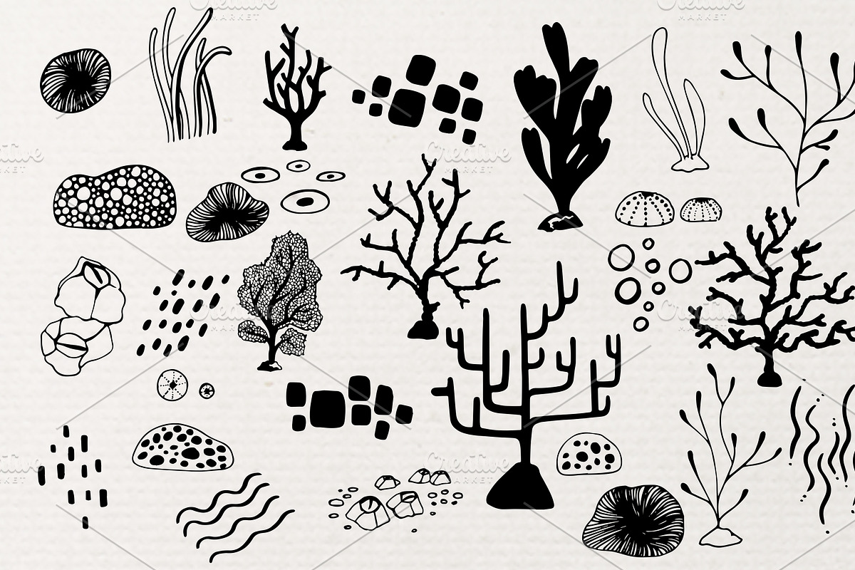 6 Coral Reef Patterns, a Pattern Graphic by Petite Salade (Photo 9 of 9)