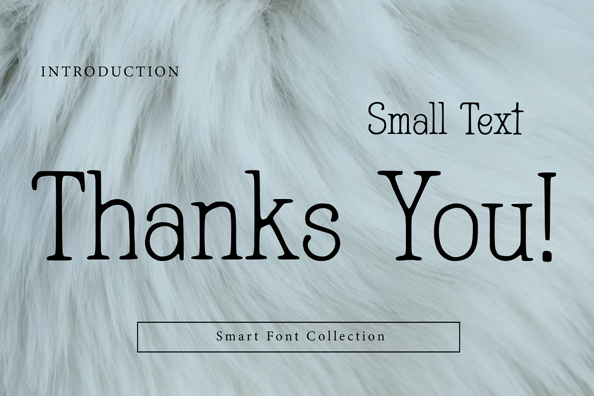 Small Text, a Serif Font by Wow Magic (Photo 3 of 3)