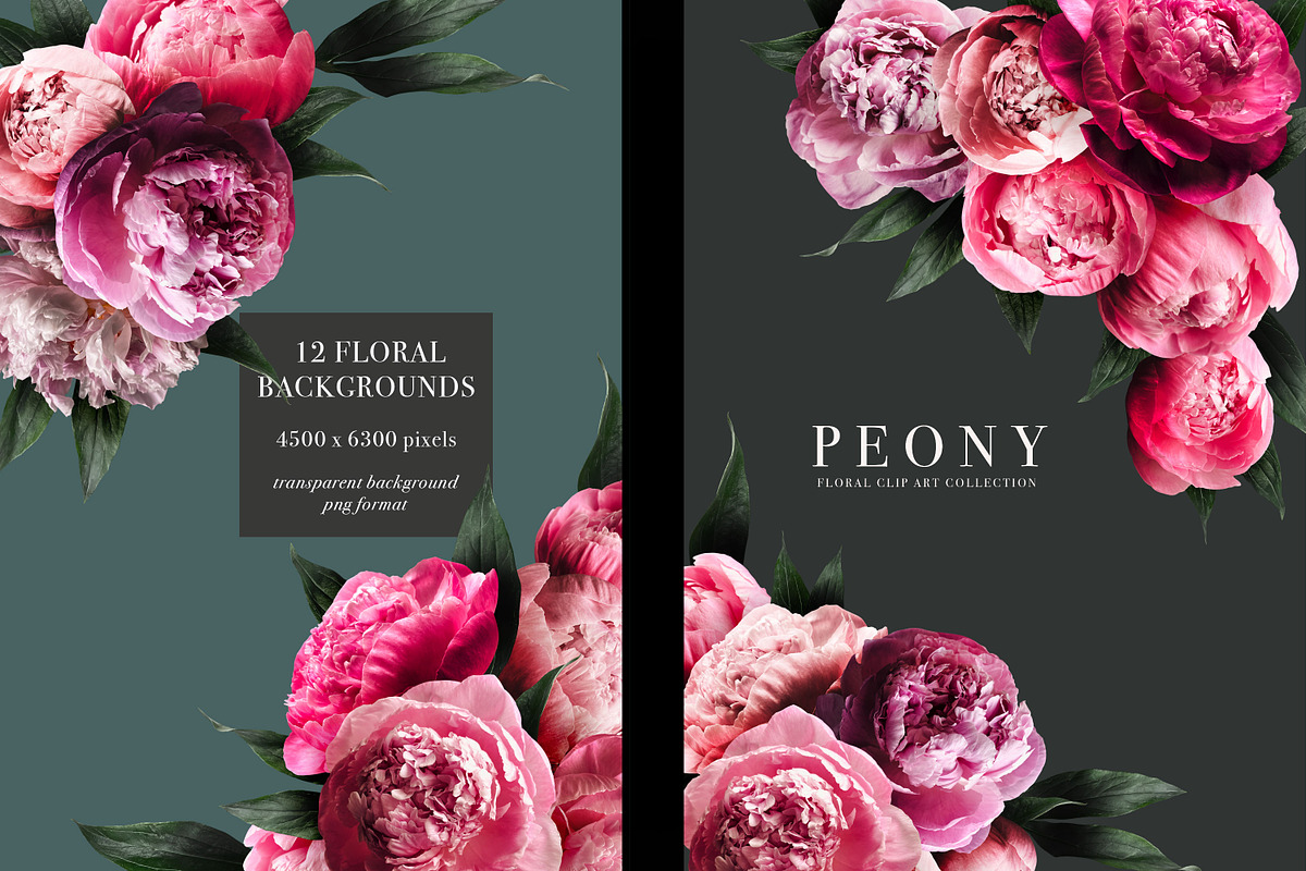 Peony Floral Clip Art, an Object Graphic by Eclectic Anthology (Photo 8 of 17)