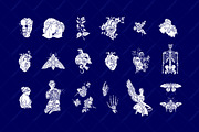 Anatomy of love, a Healthcare Illustration by OlgaSoi007 (Thumbnail 5 of 12)