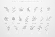 Botany & Moon. Hand Drawn Line Art., a Decorative Illustration by Designwork (Thumbnail 6 of 20)