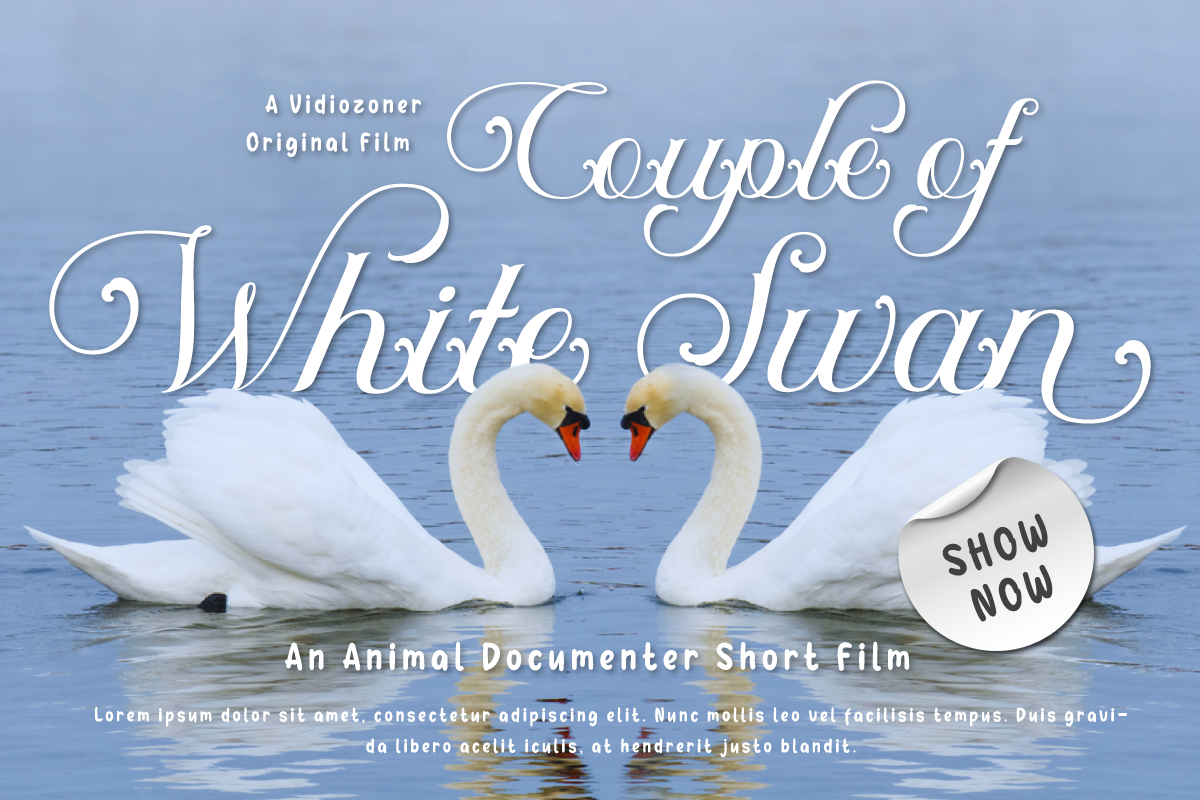 Auntha Clear | Script Font, a Script Font by twinstd (Photo 8 of 13)
