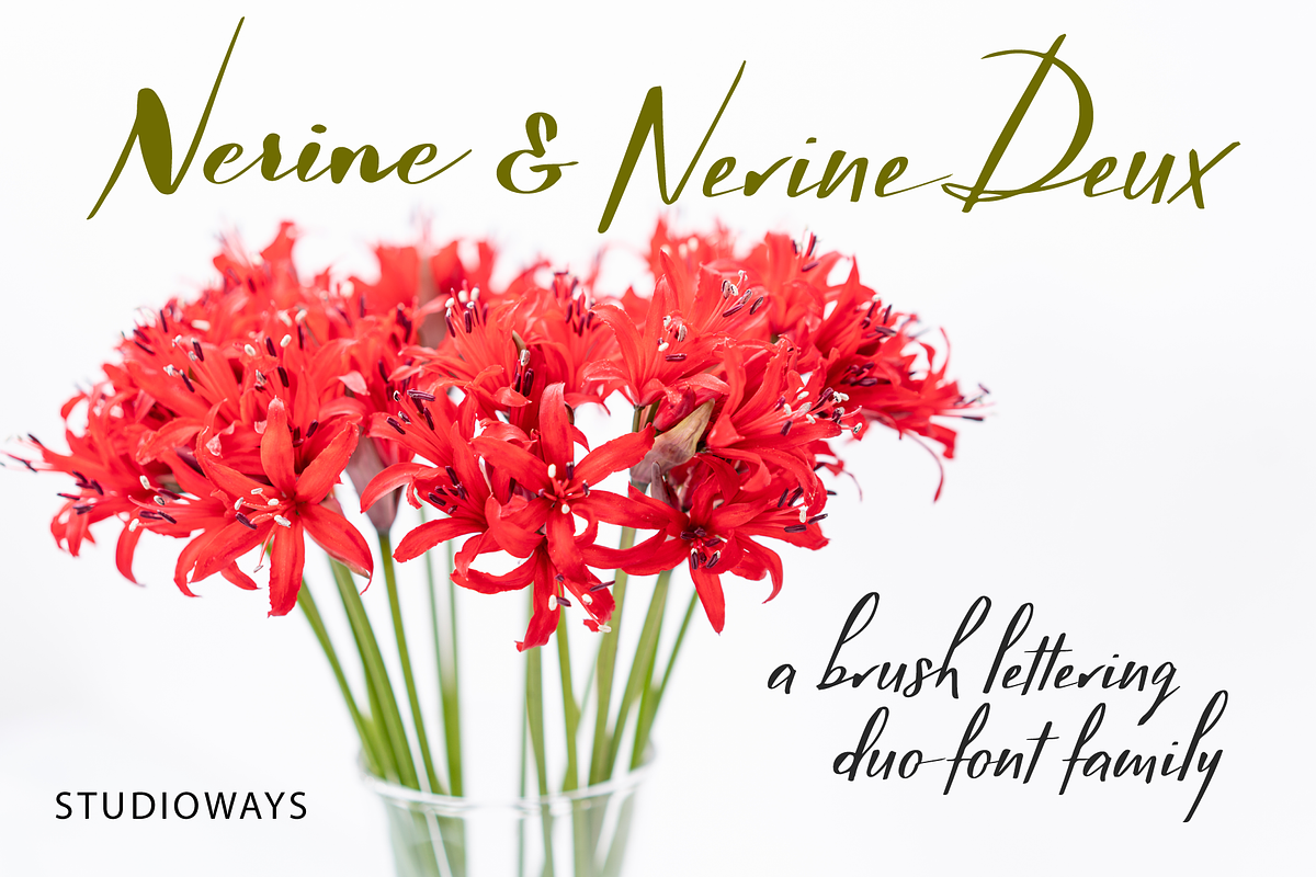 Nerine & Nerine Deux, a Script Font by STUDIOWAYS (Photo 1 of 8)