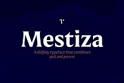 Mestiza, a Serif Font by Lechuga Type (Thumbnail 1 of 16)
