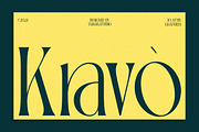 TBJ Palatino Stylish Serif Font, a Serif Font by Taboja Studio (Thumbnail 6 of 10)