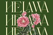 The Larove - Modern Elegant Serif, a Serif Font by Muflieart (Thumbnail 6 of 10)