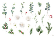 Christmas time 2. Watercolor clipart, an Animal Illustration by Elena Medvedeva (Thumbnail 10 of 10)