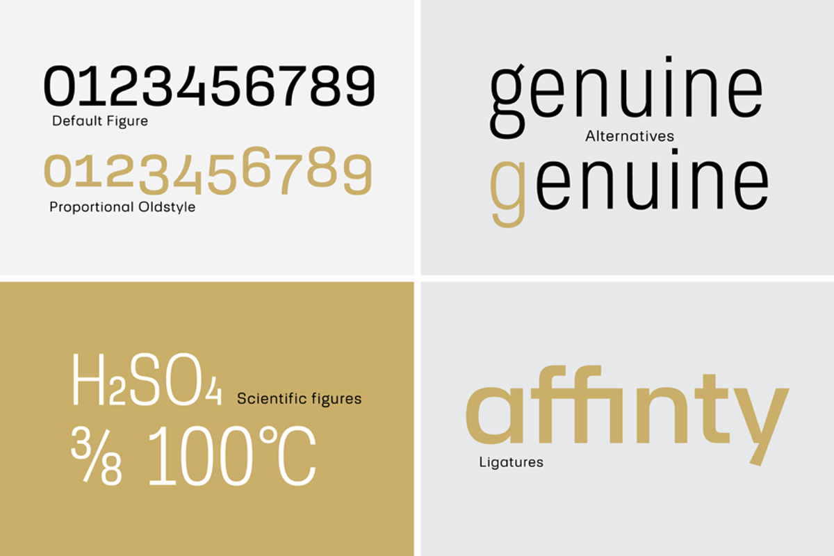 Ebru Sans Font Family, a Sans Serif Font by Ahmet Altun (Photo 4 of 7)
