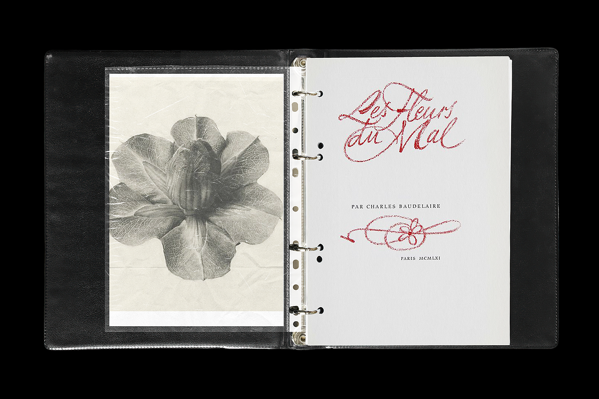 Document Binder Mockup, a Books & Magazine Mockup by Replika Machine (Photo 4 of 6)