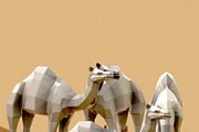 Camel, an Animal 3D Model by Studio Ochi (Thumbnail 3 of 4)