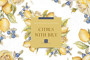 Watercolor lemon and blueberry, an Illustration by MariGraphic boutique (Thumbnail 1 of 13)